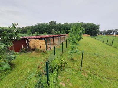 Chenil de la Tour à Illiat dans l'Ain 01